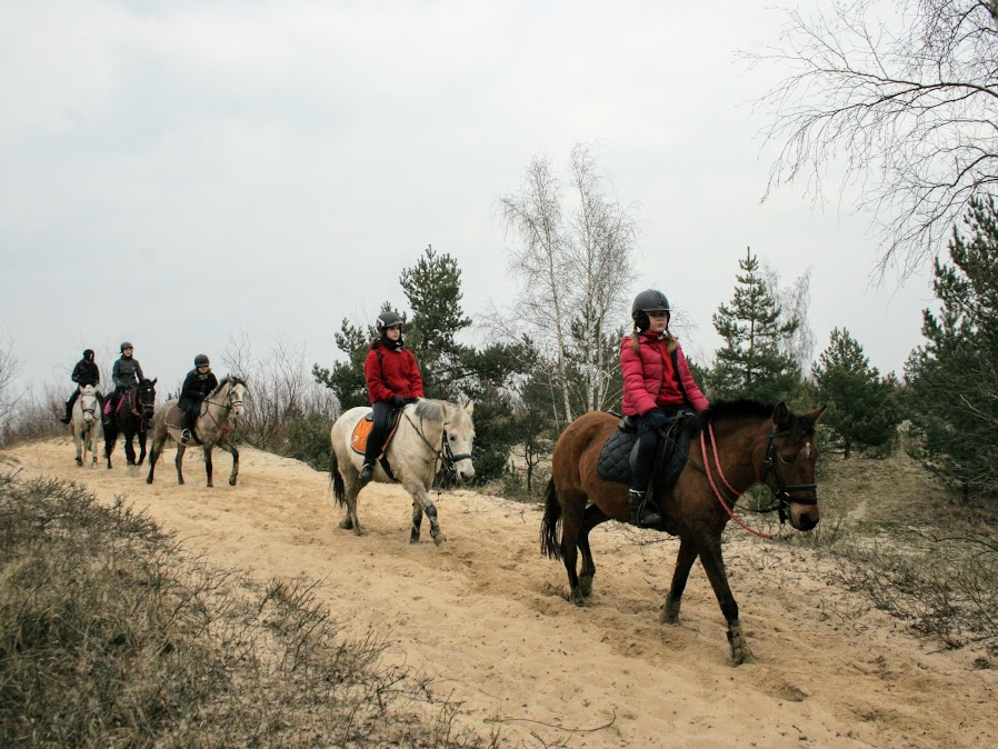 nauka jazdy na koniach