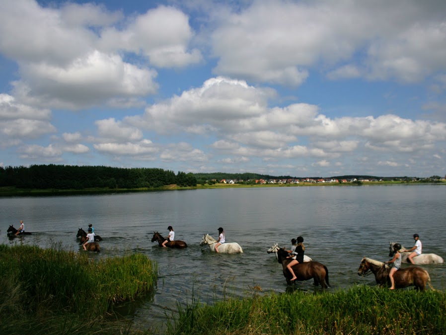 nauka jazdy na koniach